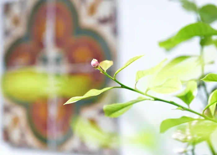 וילה The Old Bakery