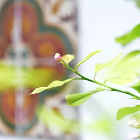 Вилла The Old Bakery